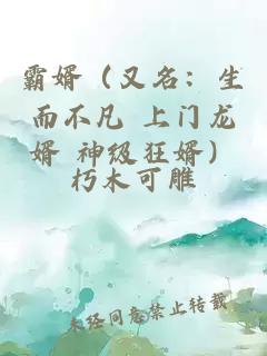 霸婿（又名：生而不凡 上门龙婿 神级狂婿）