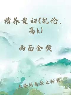 精养贵妇(乱伦，高h)