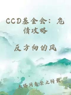 CCD基金会：危情攻略