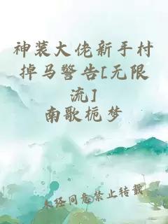 神装大佬新手村掉马警告[无限流]