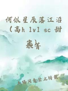 何似星辰落江沿（高h 1v1 sc 甜宠）