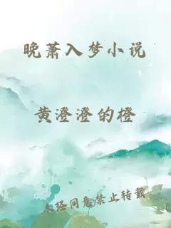 晚萧入梦小说