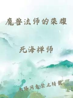 魔兽法师的荣耀