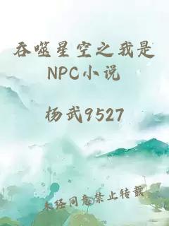 吞噬星空之我是NPC小说