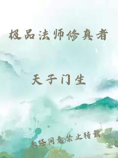 极品法师修真者