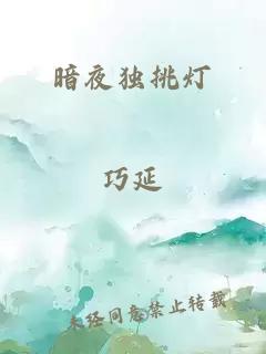 暗夜独挑灯