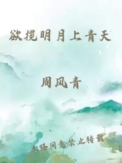 欲揽明月上青天