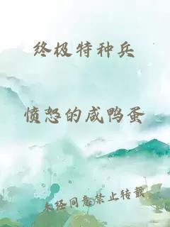 终极特种兵