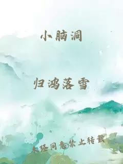 小脑洞