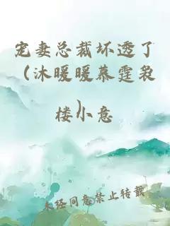 宠妻总裁坏透了（沐暖暖慕霆袅）