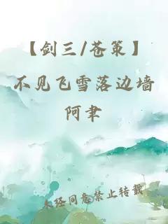 【剑三/苍策】不见飞雪落边墙