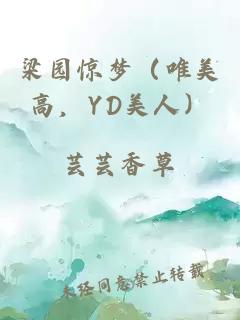 梁园惊梦（唯美高，YD美人）