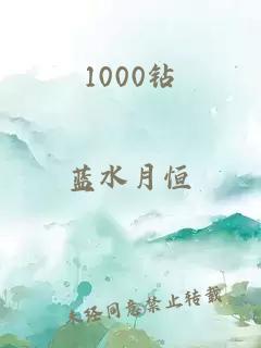 1000钻