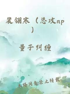 裴翎寒（总攻np）