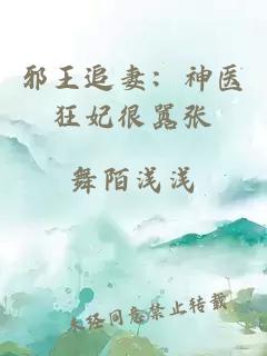 邪王追妻：神医狂妃很嚣张