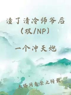 渣了清冷师爷后（双/NP）