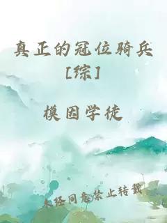 真正的冠位骑兵[综]