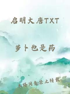 启明大唐TXT