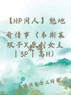 【HP同人】魁地奇情事（韦斯莱双子X原创女主丨3P丨高H）