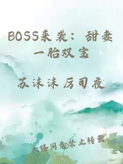 BOSS来袭：甜妻一胎双宝