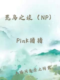 荒岛之旅（NP）